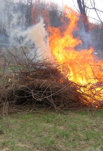 Brush Pile Burning