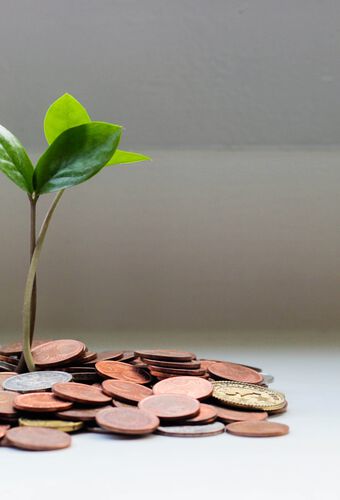 Growing money off grid on tree