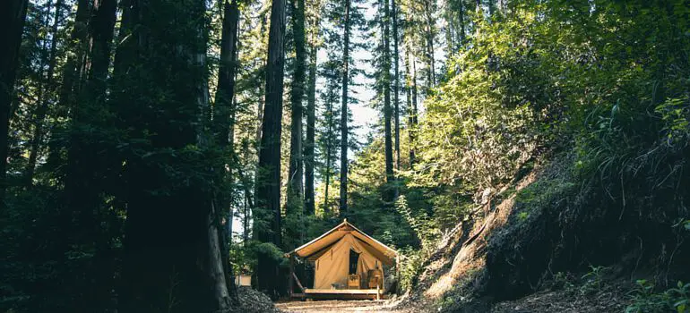 Off Grid Cabin and Land for Free