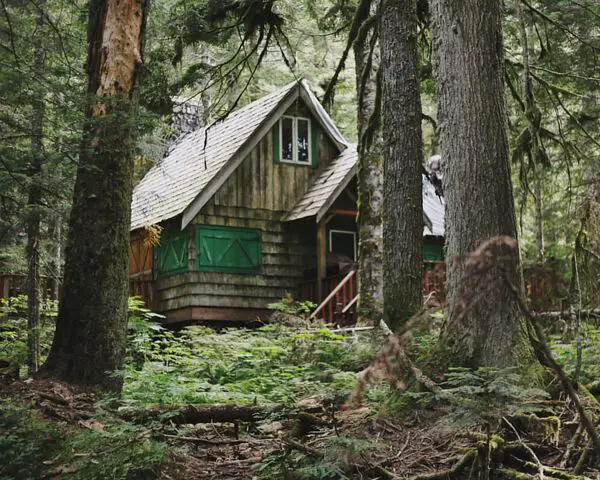 An Experiment: Living Mostly Off-Grid to Living Very On-Grid - The Cabin  Season